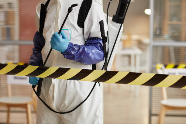 Professional Sewage Cleanup technician working in Shepherd, MI